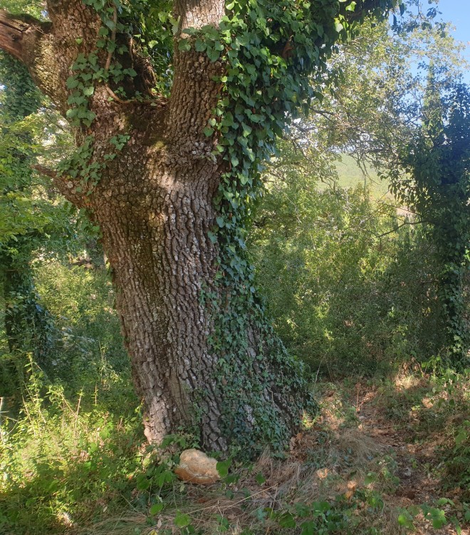 géoforum 222.jpg