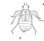 image.png.77759b0b1bd97ad7258540cc501b15e8.png