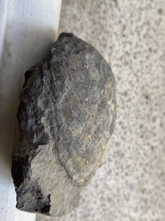 image02 (15).jpeg