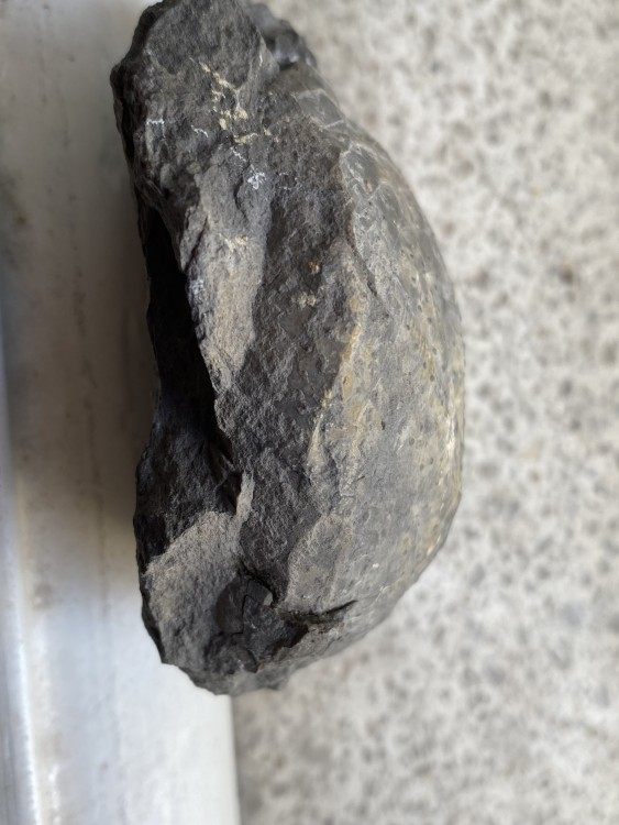 image12 (1).jpeg