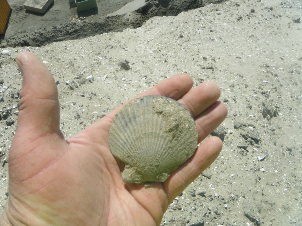 kallo_09_07_2013 (102).JPG