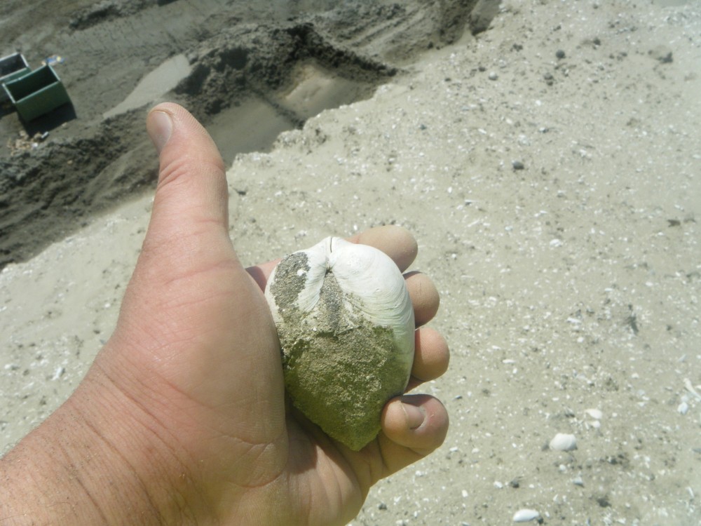 kallo_09_07_2013 (104).JPG