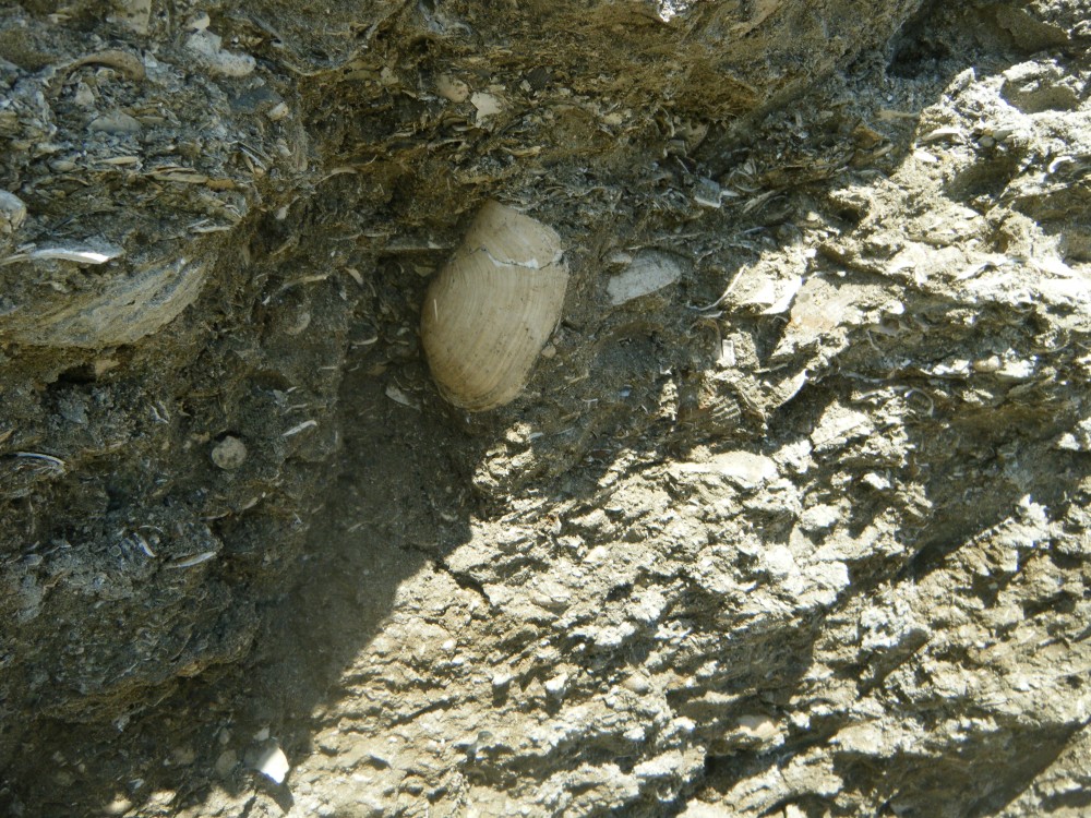 kallo_09_07_2013 (138).JPG