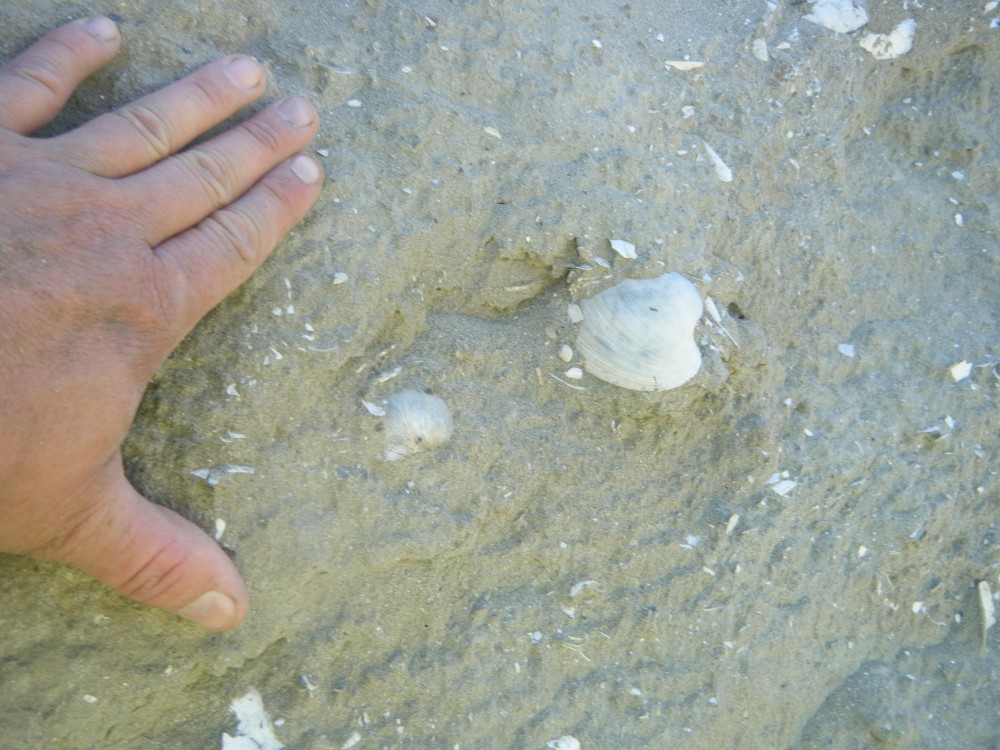 kallo_09_07_2013 (73).JPG