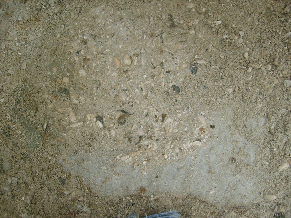 sinceny_1er_mai_2008_32.JPG