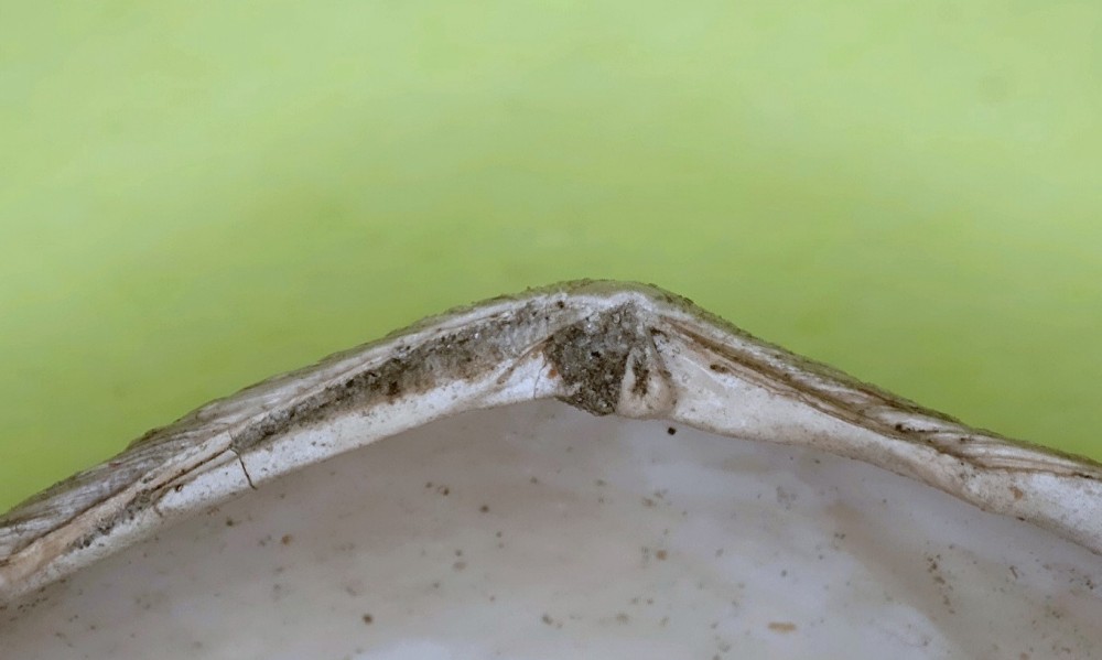 tellinesp.thumb.jpg.9a42c71c2f4910471f7c5eaa40338c62.jpg