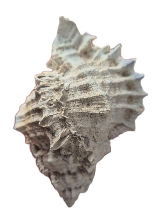 1790761575781.png