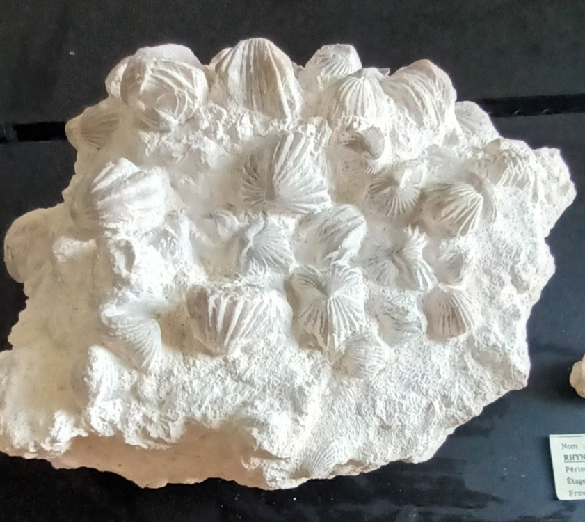 20260828_144006.jpg
