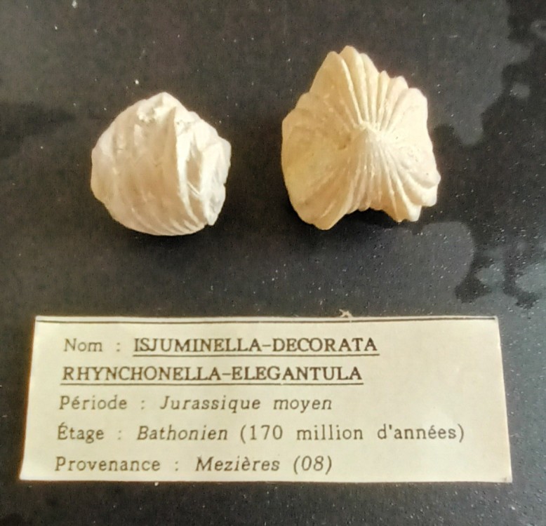 20260828_144014.jpg