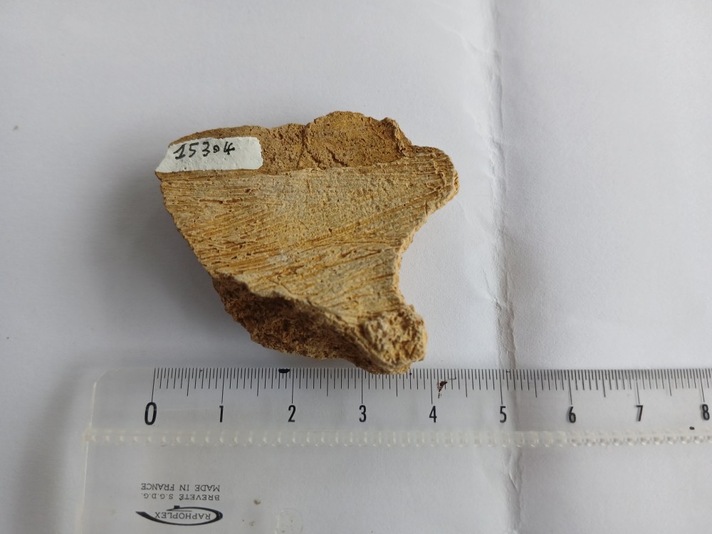 20260909_144738.jpg
