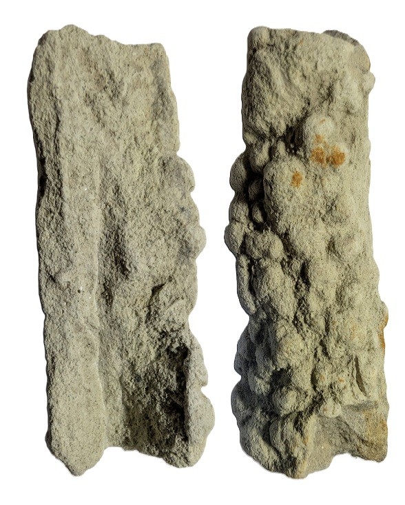 55mmx20mm.jpg.7217328dc13f82c19dcb7bd194cd362d.jpg