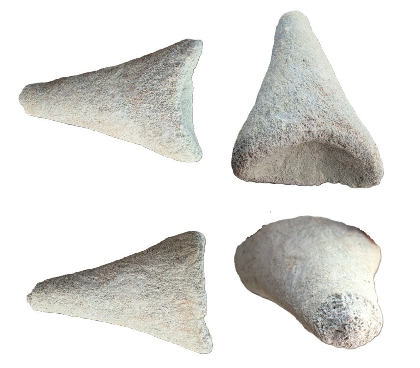 B.thumb.jpg.1437b5d92d1c5e128846feadde691721.jpg