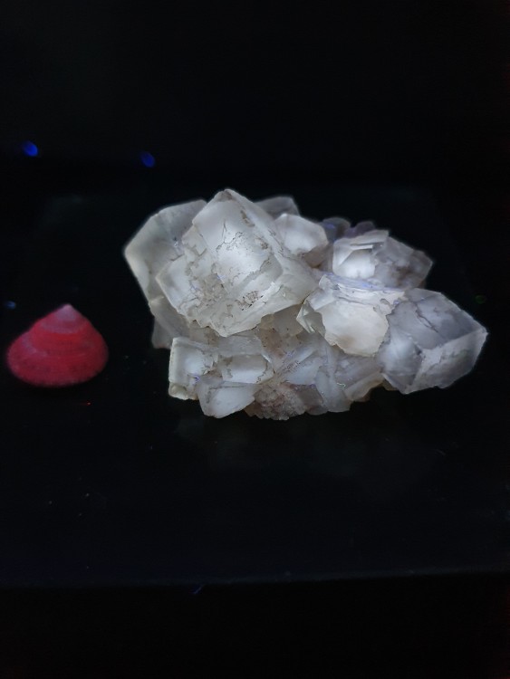 FLUORITEArbouet(PyrnesAtlantiquesFrance)32021SCP117UVC.thumb.jpg.43275eb1e84f99b3a531cffc6d4c1b1a.jpg