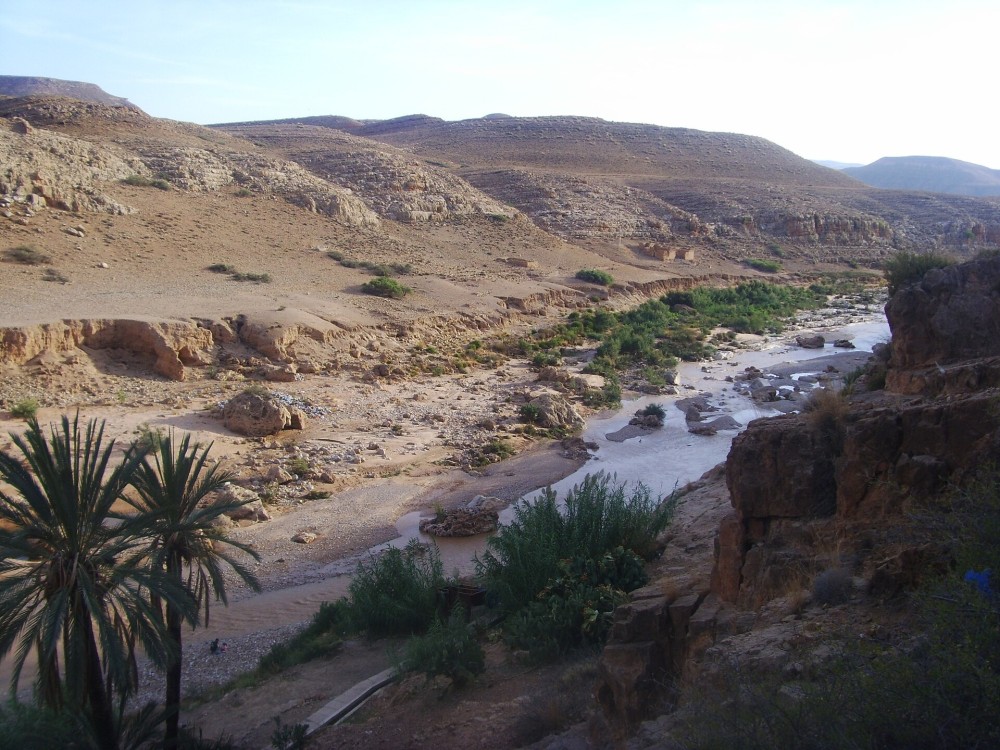 Gafait2.thumb.jpg.86a62c3cbe5e9cf41a40e1a27c4e1801.jpg