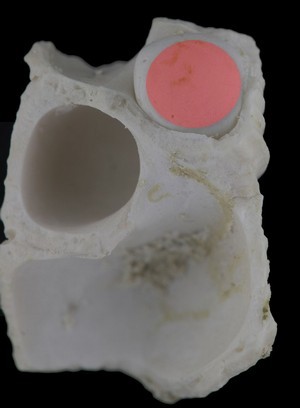Gal.jpg.7cdf4e58369b17edfdade80fe95f8c10.jpg