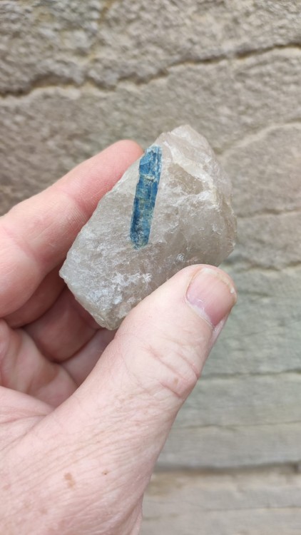 apatite La Villeder.jpeg
