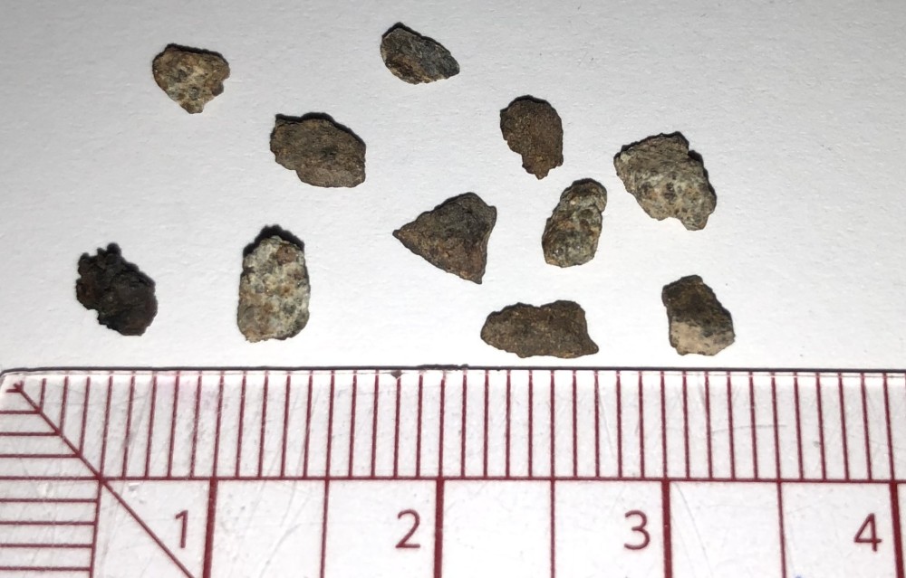 chondritesa.thumb.jpeg.91bf5137d019d3d17ecc312b21527838.jpeg