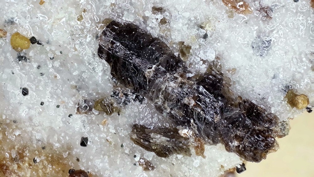 enstatite2.thumb.jpg.b94cff2746ae9b016b6b96d5f0a39f0e.jpg