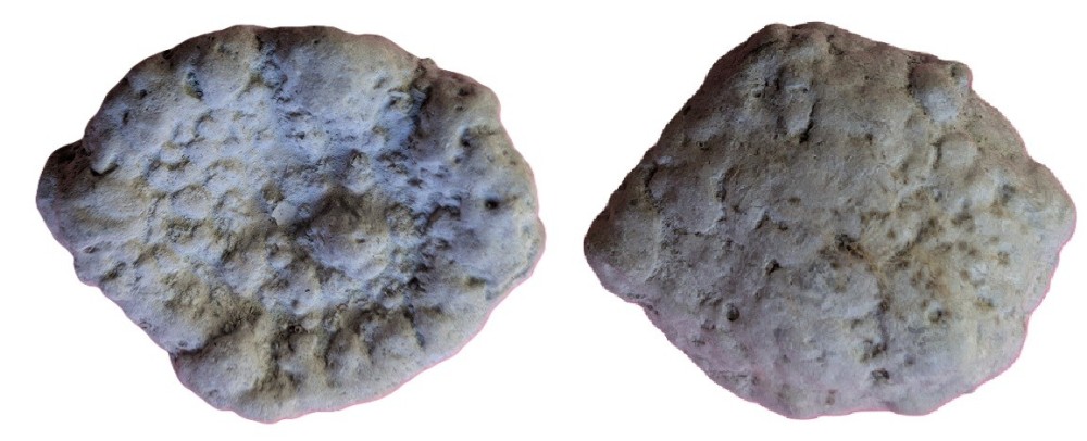 eponge30mmx25mm.thumb.jpg.6ee1f10dee75d3f109d8c1bc8572f796.jpg