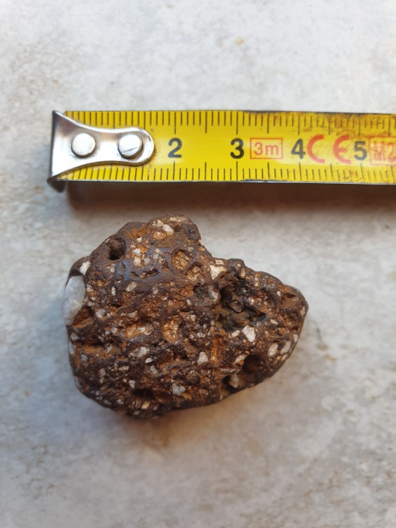 geoforum 253.jpg