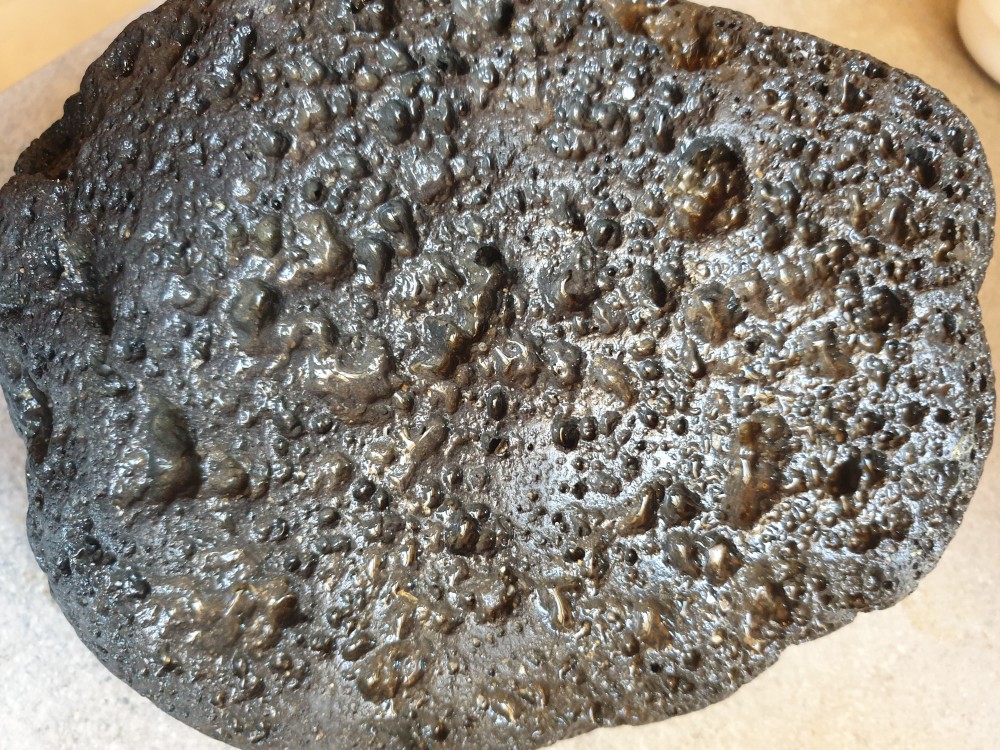 geoforum 256.jpg