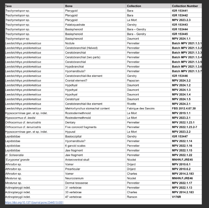 image.png.8ae3a9390d6797373eaa2dcfa5488b2f.png