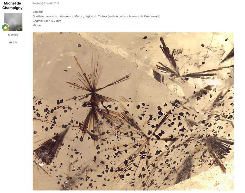 image.thumb.png.74fd33094bc93430e681d1bd40162b88.png