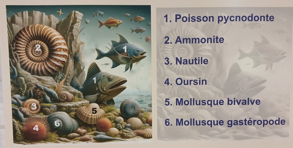 la mer aux environs de ........ au temps des dinosaures.jpg