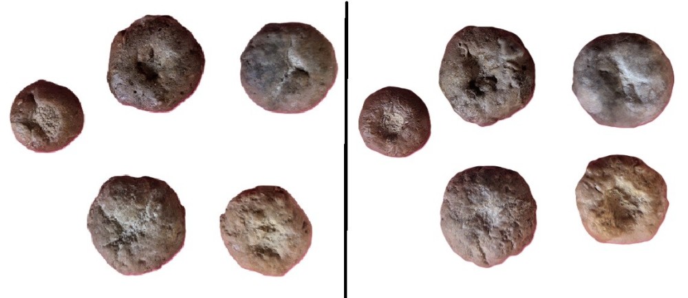 oursin2.thumb.jpg.6624150b5dd3d1e891bc677815935625.jpg
