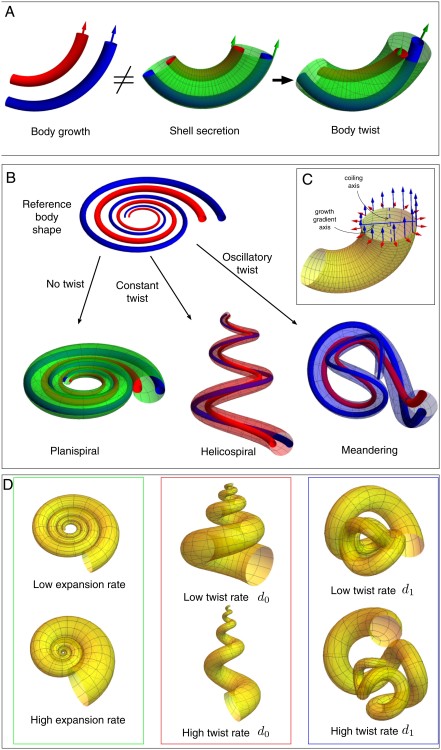 pnas.202109210fig02.thumb.jpg.14439cdec90f032c13488762479df215.jpg