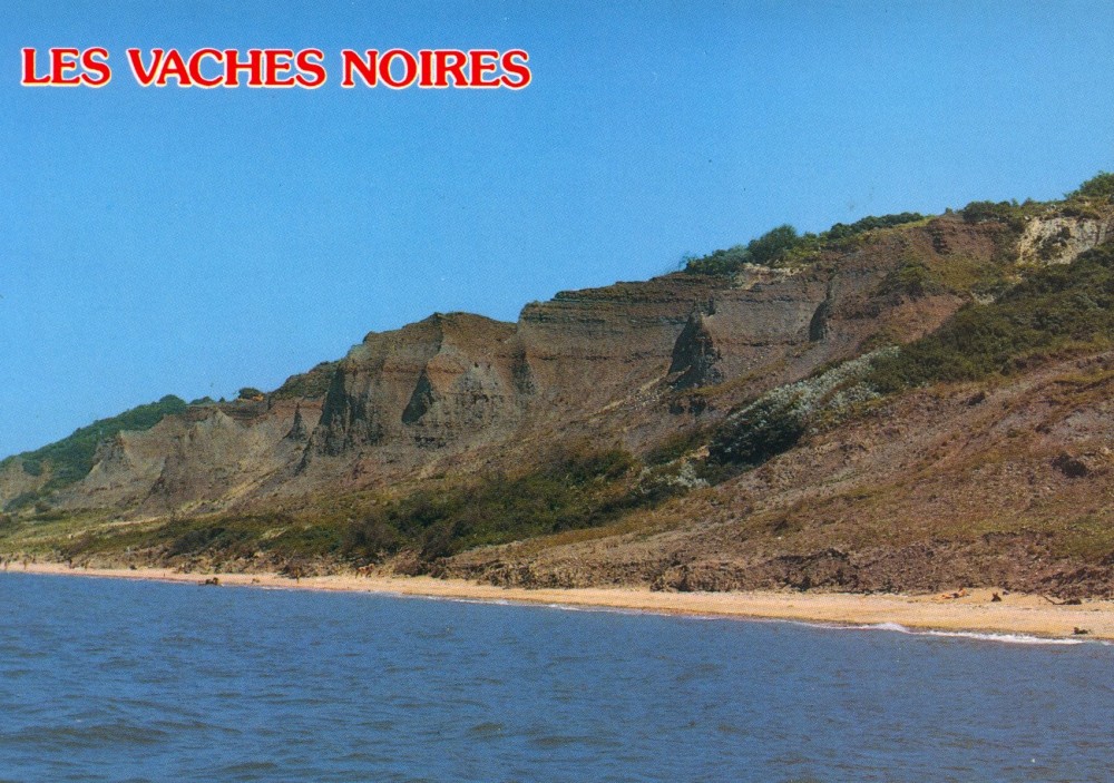 vaches noires7.jpg