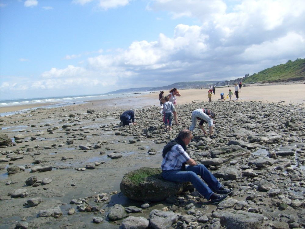 vsm_11_07_2008_67.JPG