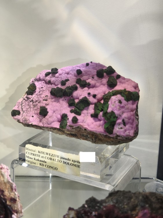 1791624534302.jpg