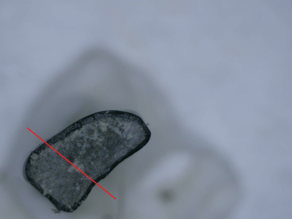 5.thumb.png.5af6a4f5eb87c10a80e5523f5310fbf5.png