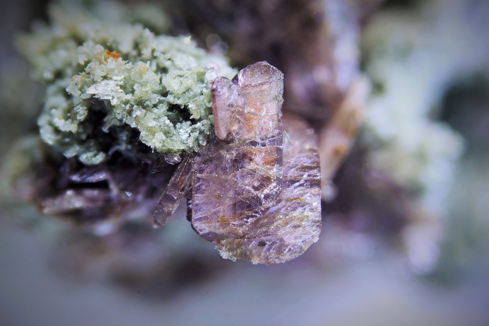 Axinite sur diopside pic d'Izes FOV 15 mm 002.JPG
