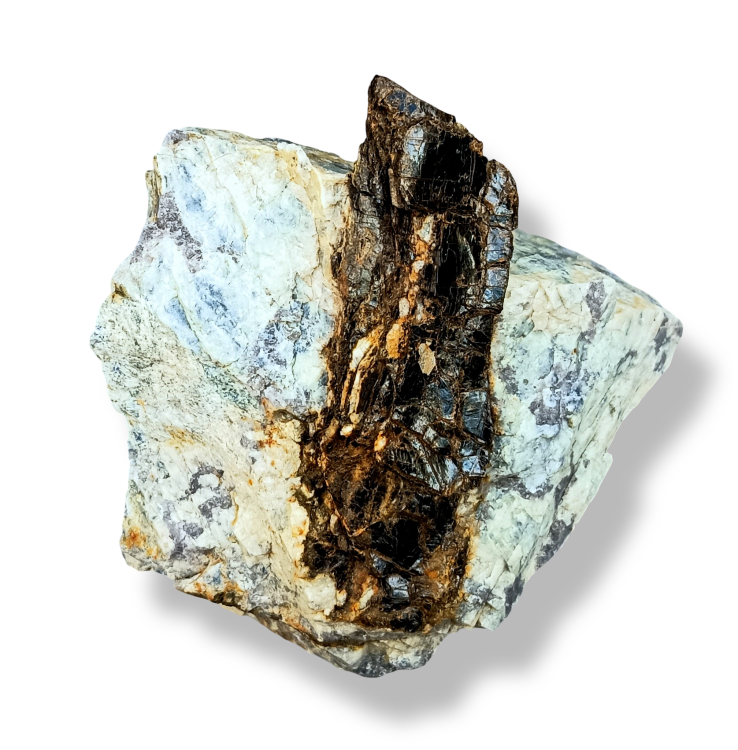 IMG_20261011_184629.thumb.png.6ff918ad181aa864115fb1c7a09c1da0.png