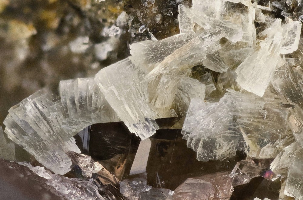 Prehnite sur axinite Ausseilla FOV 15 mm 001.jpg