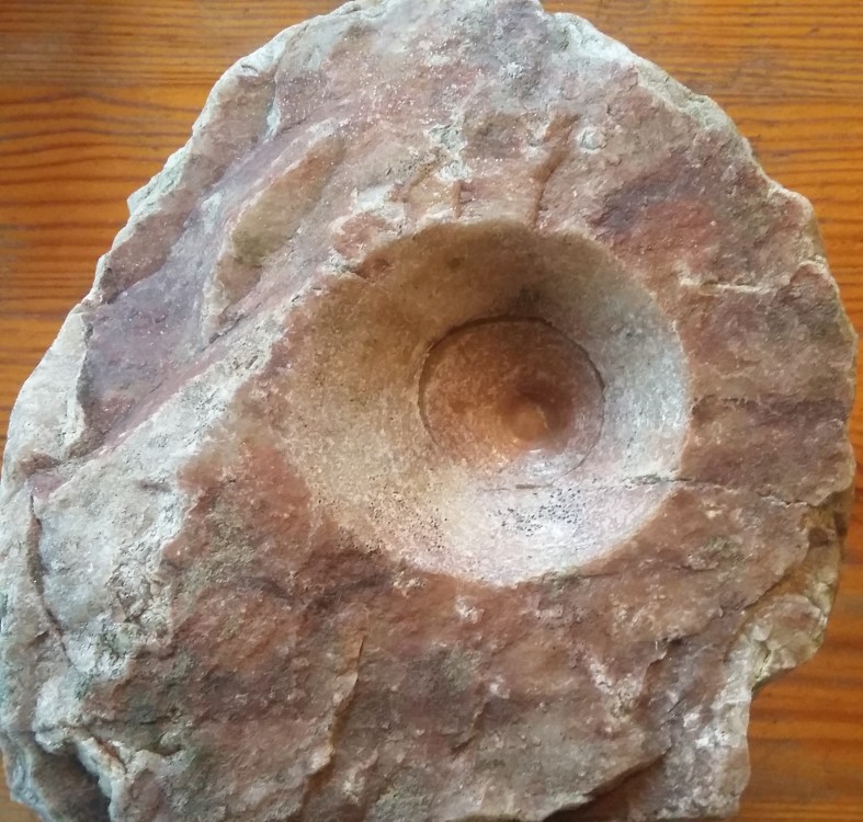 geoforum 282.jpg