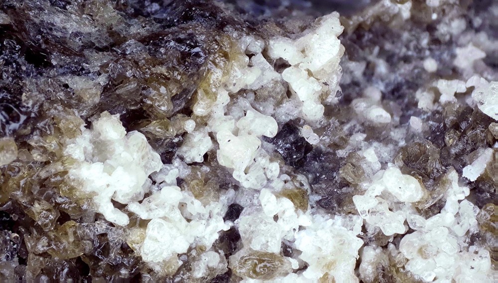minblancriz.thumb.jpg.d60ebba72d6f1ad24c7f284d723eaadd.jpg