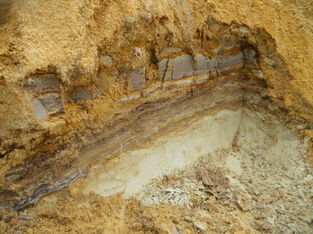 niveau_ferrugineux_aisne_2014_2.jpg
