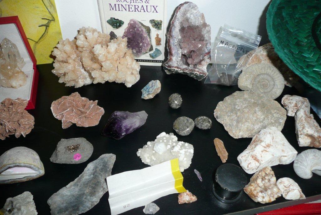 Comment initier une collection de minéraux - Dunod