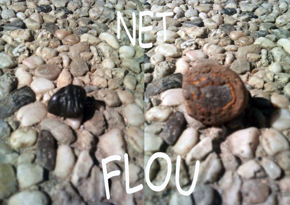 identification roche noire ? Roche et pétrographie Géoforum