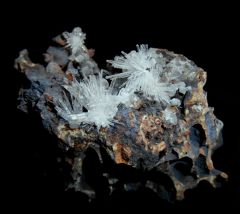 Aragonite(6x4.5cm)Gergovie