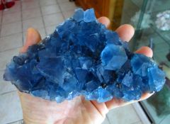 fluorine bleue / galene 16 cm x 10 cm Royal Flush Mine Bingham Nouveau Mexique