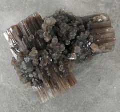 Aragonite