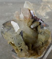 Brookite sur quartz Chloriteux