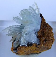 Baryte Bleue sur Limonite