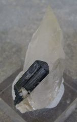 Tourmaline sur Quartz