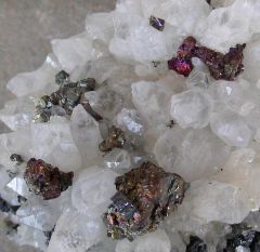 Chalcopyrite sur Quartz