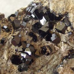 Grenat Andradite (Variété Mélanite)